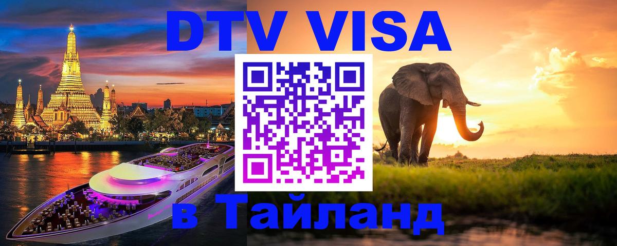 Сколько стоит DTV виза — актуальные цены, оформление даже без документов - Веллингтон 