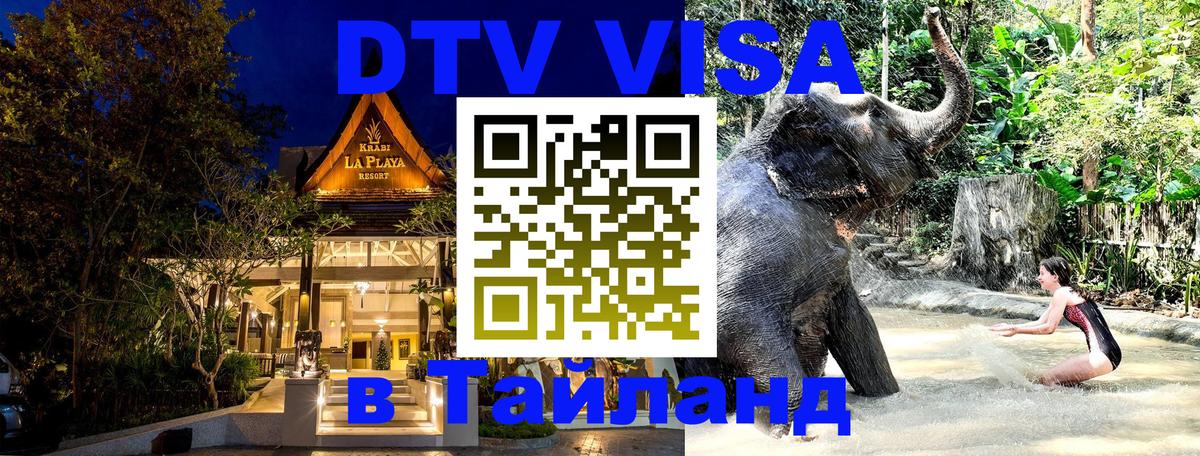 Долгосрочная виза DTV в Тайланд Веллингтон 